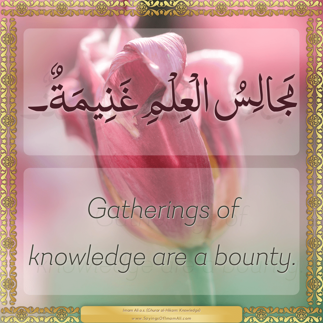 Gatherings of knowledge are a bounty.